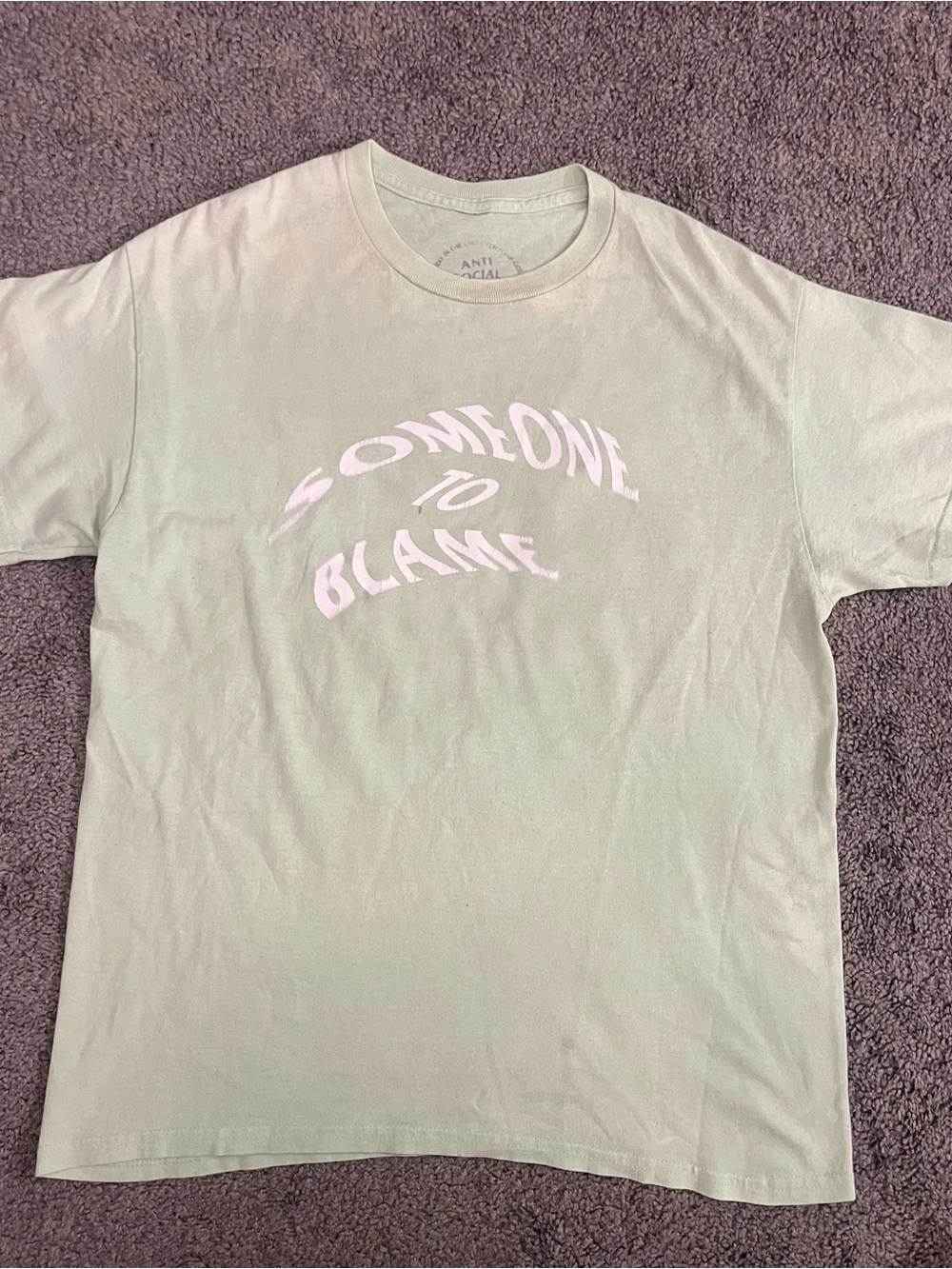 Someone To Blame Graphic Tee - Light Sage